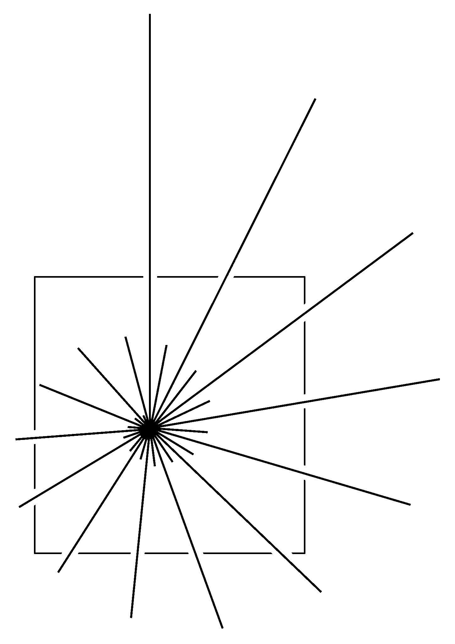 Align Wellness Collective